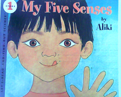 My Five Senses